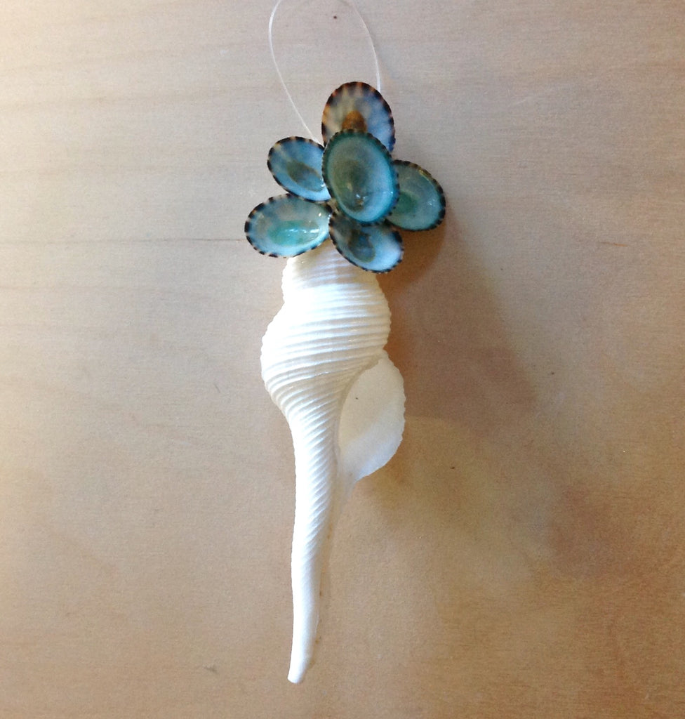 Spiral Shell Limpet Ornament