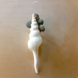 Spiral Shell Limpet Ornament