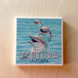 Ventura Dolphin Coaster