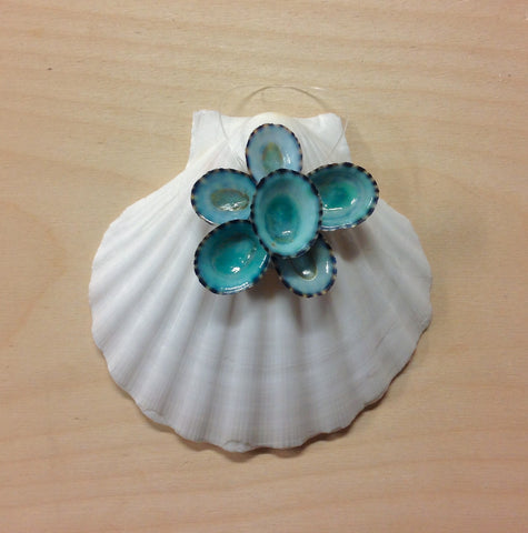 Scallop Shell Limpet Ornament