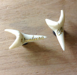 Ventura & CA Shark Tooth Magnet