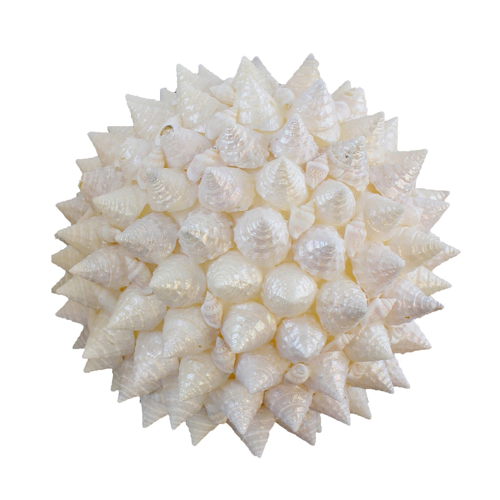 Seashell Decor Ball