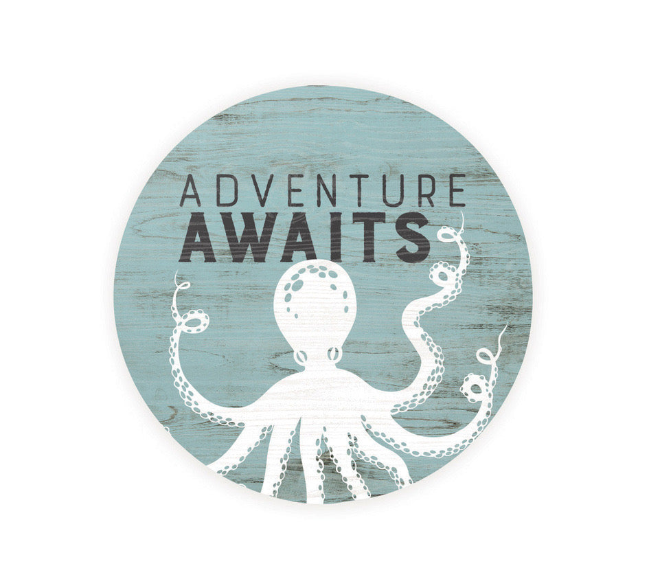 Adventure Awaits Octopus Car Coaster