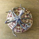 Silver Octopus Sea Urchin Shell Art