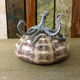 Silver Octopus Sea Urchin Shell Art