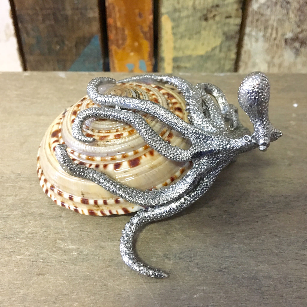 Silver Octopus Sundial Shell Art