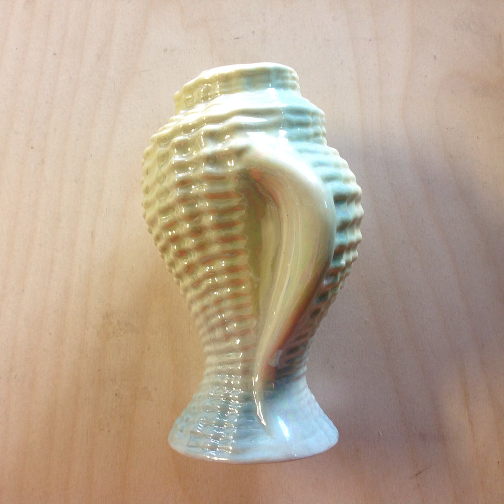 Sea Shell Vase