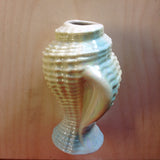 Sea Shell Vase