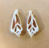Sliced Shell Earrings