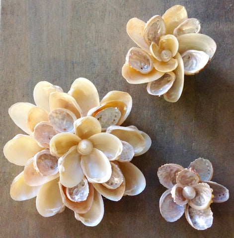 Seashell Wall Flower