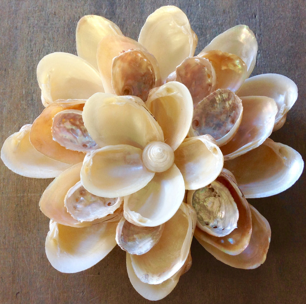 Seashell Wall Flower – Sea Things Ventura