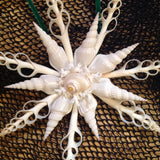 White Seashell Star Tree Top