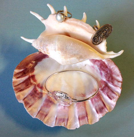 Conch Scallop Jewelry Dish