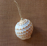 Tonna Shell Ornament