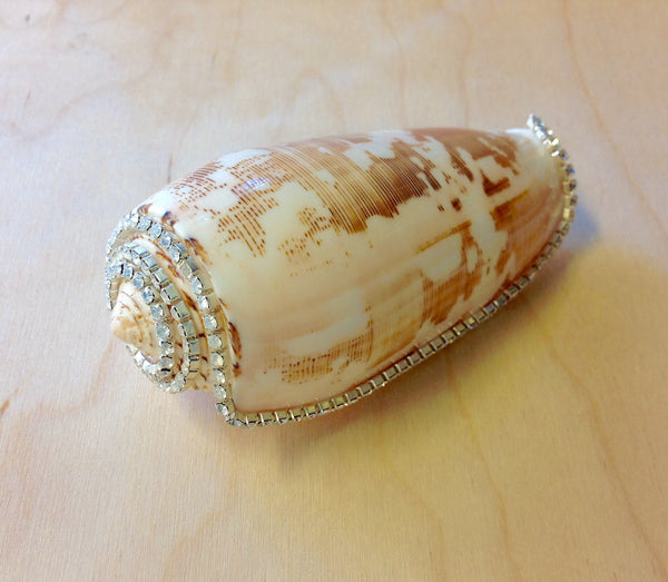 Jeweled Shells Sea Things Ventura