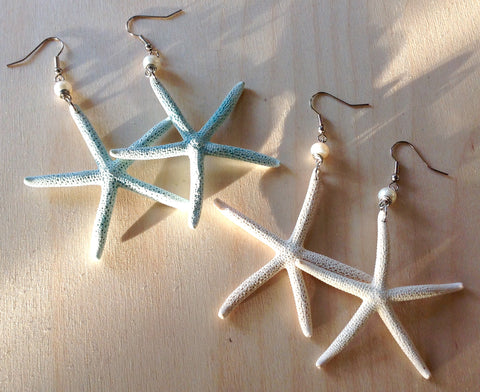 Real Starfish Earrings