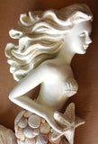 Seashell Tail Mermaid Wall Art