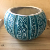 Sea Urchin Planter