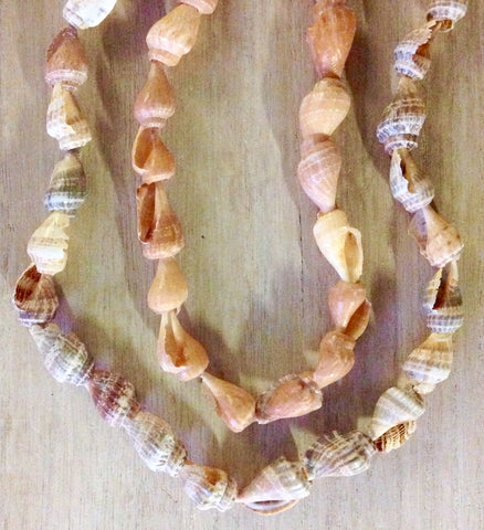 Triton Shell Lei