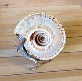 Silver Octopus Sundial Shell Art