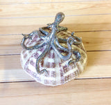 Silver Octopus Sea Urchin Shell Art