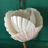 White Scallop Seashell Flower