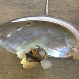 Shell Kayak Ornament