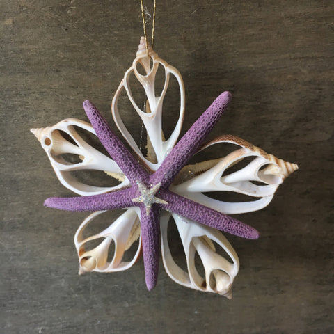 Purple Star Shell Ornament