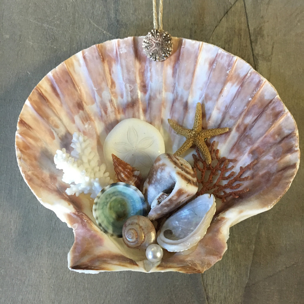 Seashell Ornament