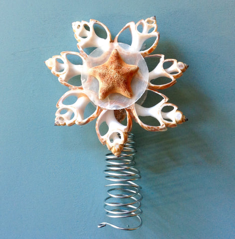 Natural Star Shell Tree Topper