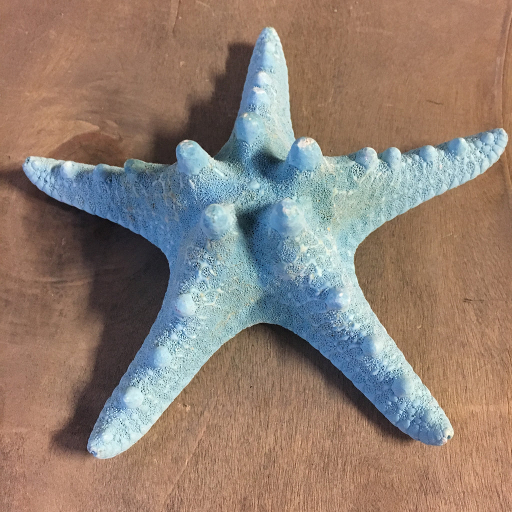Starfish Tree Toppers