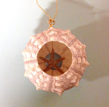 Sea Urchin Starfish Ornament