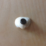 Shell Art Magnet