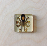 Octopus Square Glass Magnet