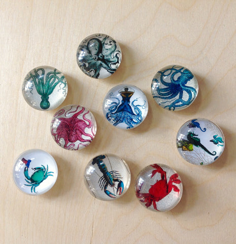 Sea Life Glass Magnet