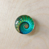 Nautilus Art Glass Magnet