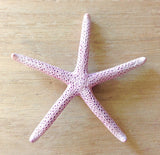 Finger Starfish Magnet