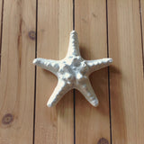 Cast Iron Starfish