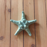 Cast Iron Starfish
