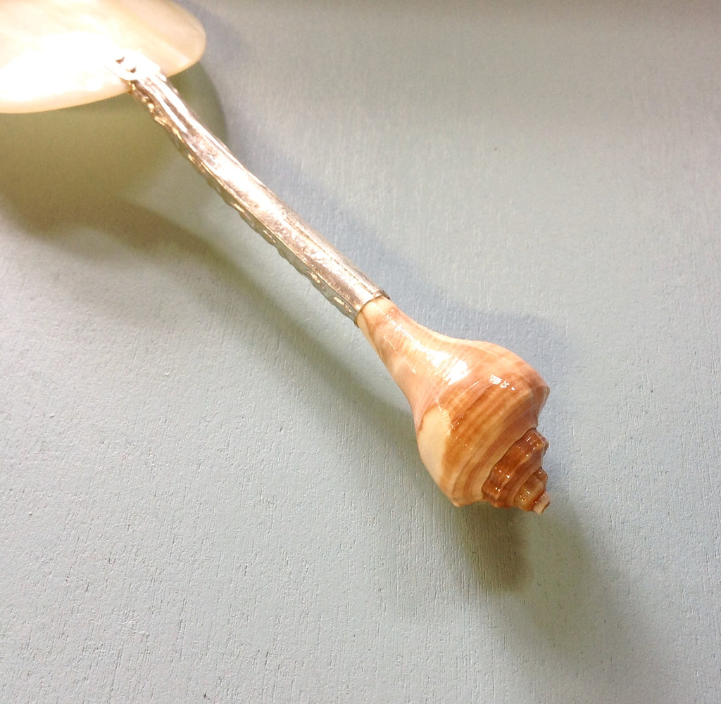 MOP Shell Spoon