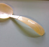 MOP Shell Spoon