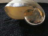 Gold Nautilus Shell