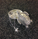 Turtle box and necklace