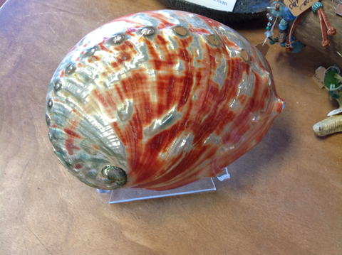 XL Polished Red Abalone