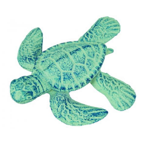 Litttle Blue Turtle