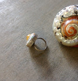 Turbo Samaticus Ring
