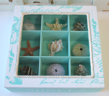 Shell Collection Box