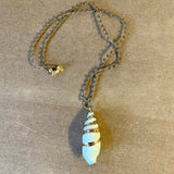 Seashell Charm Necklace