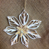 Sliced Star Shell Ornament
