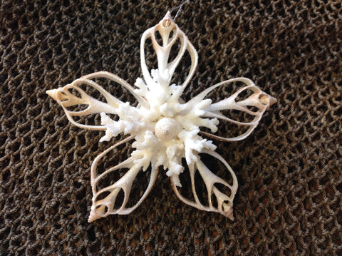 Snowflake Coral Heart Ornament